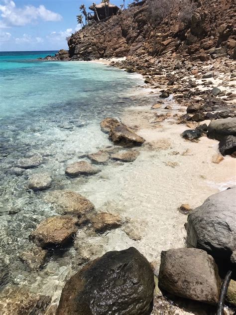 Necker Island Wildlife Tour with Gumption's Learning Adventures - The Barefoot Angel