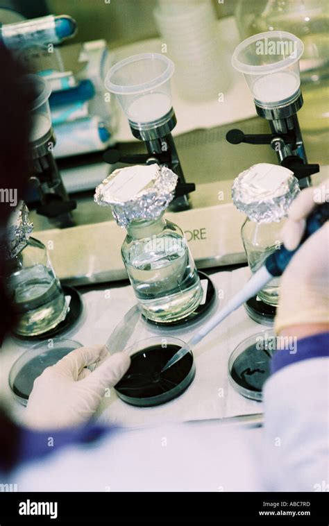 Microbiological lab laboratory Stock Photo - Alamy