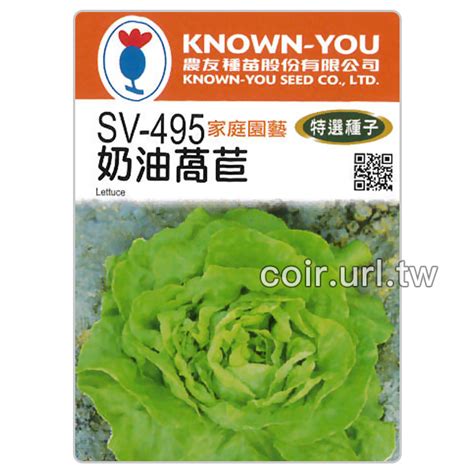 奶油萵苣種子 Lettuce （奶油生菜） 低於市價 903 花園城堡園藝資材倉庫★最齊全最省錢。