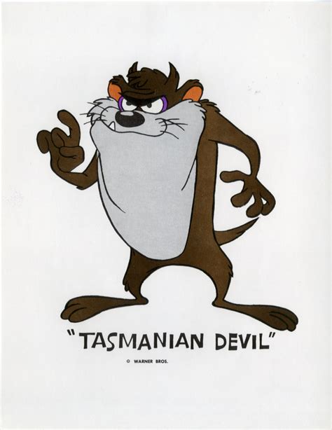 Tasmanian Devil Wb Cartoon Animation Promo Print 1971 Lewis Wayne