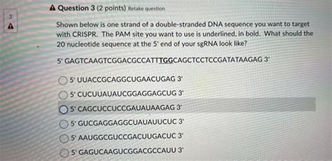 Solved Shown Below Is One Strand Of A Double Stranded Dna