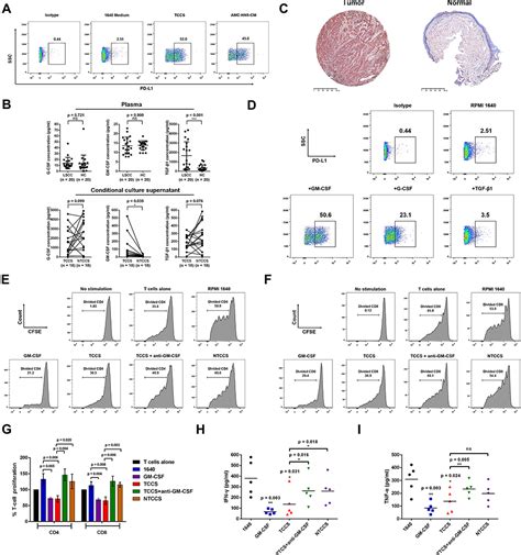 Tumor-infiltrating PD-L1+ Neutrophils in Laryngeal Squamous | JIR 