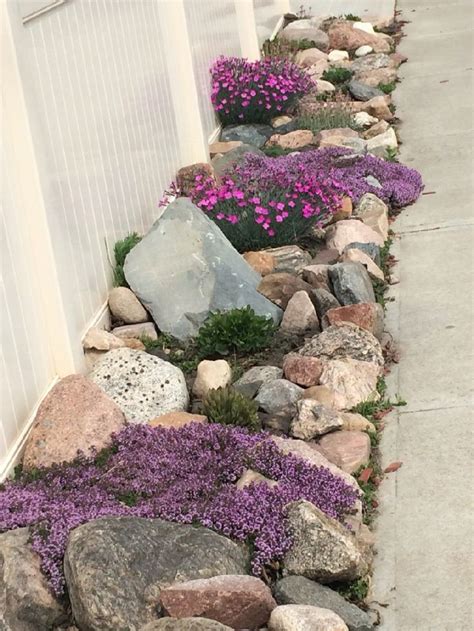 Fabulous Xeriscape Front Yard Design Ideas And Pictures 2 Read More Front Yard Rock