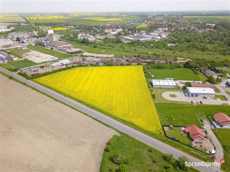 Syndyk sprzeda działkę w Grodkowie Grodków Sprzedajemy pl