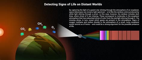 Life on Other Planets: What is Life and What Does It Need? – Exoplanet Exploration: Planets ...