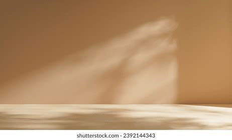 Realistic Sunlight Shadows On Wall Backgrounds Graphicsfuel