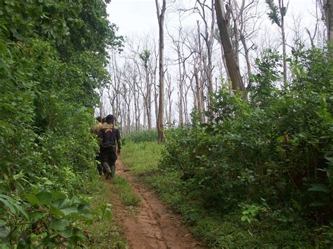 "Merbabu ningraT"s Blog: Jalan-Jalan Mengenal Hutan Jati di Jawa Slideshow