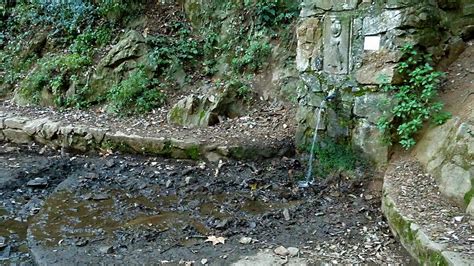 La memòria de laigua torrent de la Font del Bacallà Benvinguts al