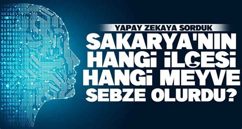 Yapay Zekaya Sorduk Sakarya da Hangi İlçe Hangi Meyve ve Sebze