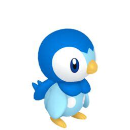 Piplup Pokédex: stats, moves, evolution & locations | Pokémon Database