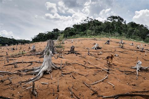 Dramatic Photos Show Brazil’s Crippling Drought