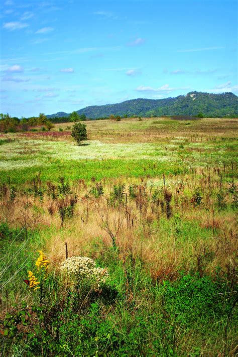 Photo Gallery | Mississippi Valley Conservancy