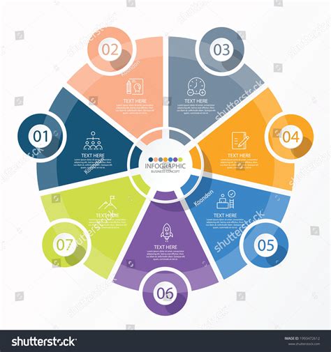 Basic Circle Infographic Template 7 Steps Stock Vector Royalty Free