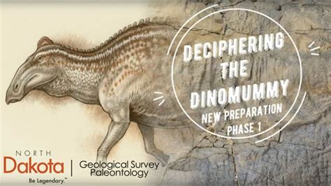 Deciphering the Dinomummy: New Preparation Phase 1 - YouTube