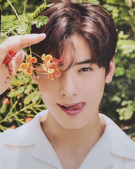 cha eunwoos vietnamese fanbase  instagram magazine photobook