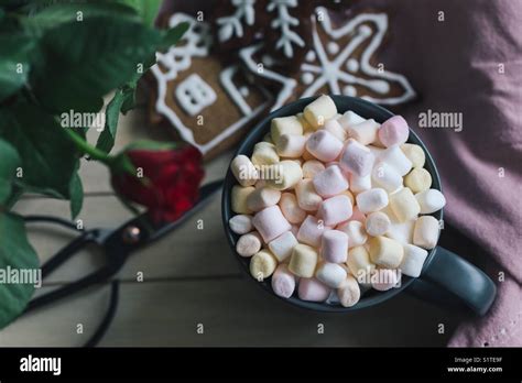 Hot Cholcolate Hi Res Stock Photography And Images Alamy