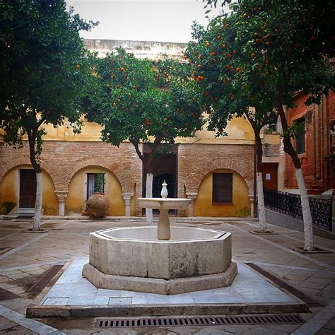 Patio de los naranjos de la iglesia del Salvador. Sevilla … | Flickr
