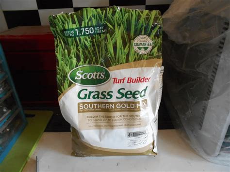 8 Best No Mow Grass Seeds You Can Plant Today - Archute