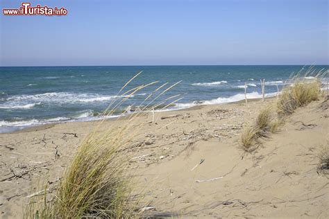 Spiaggia Libera A Principina A Mare In Maremma Foto Principina A