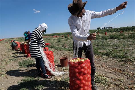 Turkey Exports To Saudi Arabia Increase 25 Percent In The First