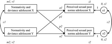 The Actorpartner Interdependence Model Apim For Perceived Sexual