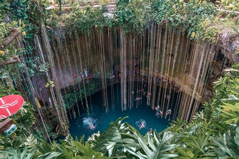 Best Cenotes In Mexico To Visit In The Planet D