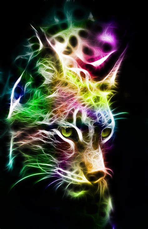 157 best images about Neon Animals on Pinterest | Cats, Male lion and ...