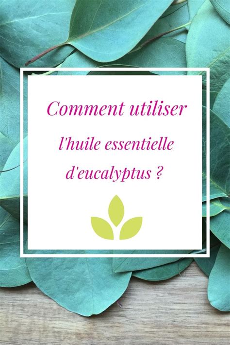 Comment Utiliser L Huile Essentielle D Eucalyptus The Green Blossom