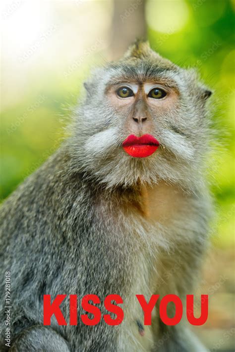 Monkey With Big Lips Meme Infoupdate Org