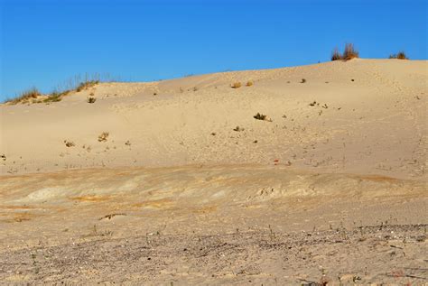 Texas Through Time | Monahans Sandhills State Park