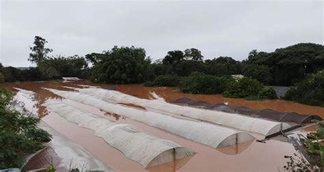 Pedidos de indenização por tragédia no Rio Grande do Sul chegam a R 3