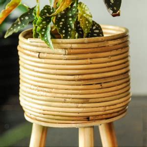 Amazon Glamplife Natural Rattan Plant Stand Handmade Wicker