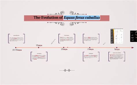 The Evolution of Equus ferus caballus by Anne Rouleau