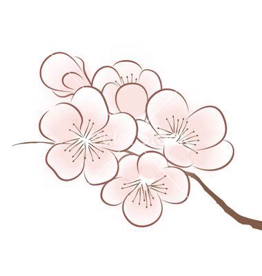 Spring Cherry Blossom Vector By CatChat On VectorStock Fleur De