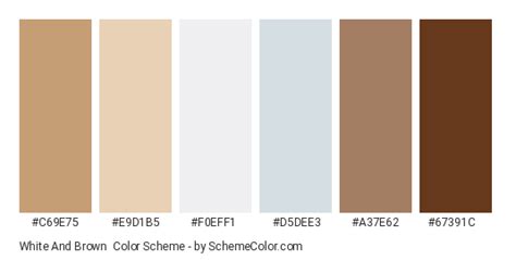 White And Brown Color Scheme » Brown » SchemeColor.com