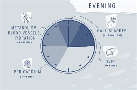 How The Chinese Medicine Clock Affects Your Body Well Good Chinese