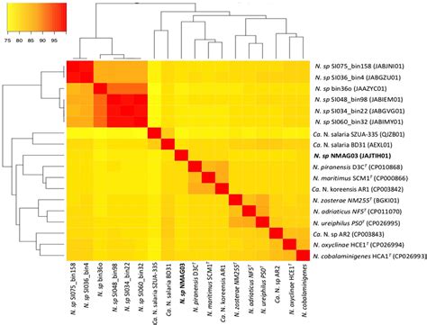 Average Nucleotide Identity Heatmap Ani Was For All 18 Genomes