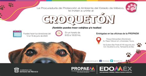 Propaem On Twitter Te Invitamos A Donar En El Er Croquet N Nete A