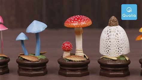 Mushroom Garden Blind Box Version 1 By Qualia Tokyo Youtube