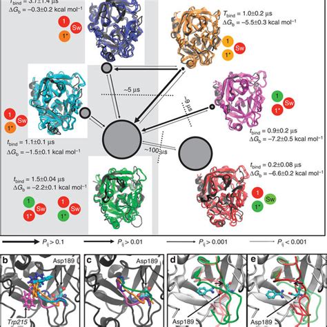 (PDF) Protein conformational plasticity and complex ligand-binding ...