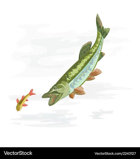 Fische Lizenzfreies Vektorbild Vectorstock