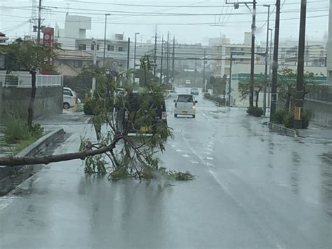 大型で非常に強い台風24号 沖縄本島では各地で記録的な暴風を観測 ウェザーニュース