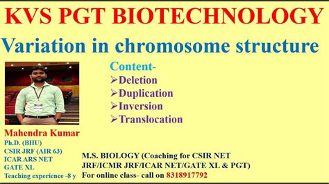 Variation In Chromosomal Structure YouTube