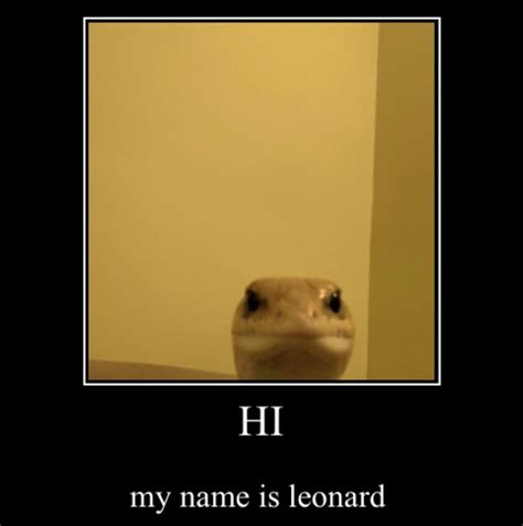 Leonard the Lizard | Know Your Meme