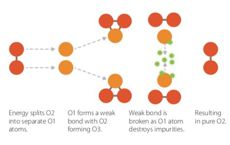 Ozone Oxidation Newnam Restoration