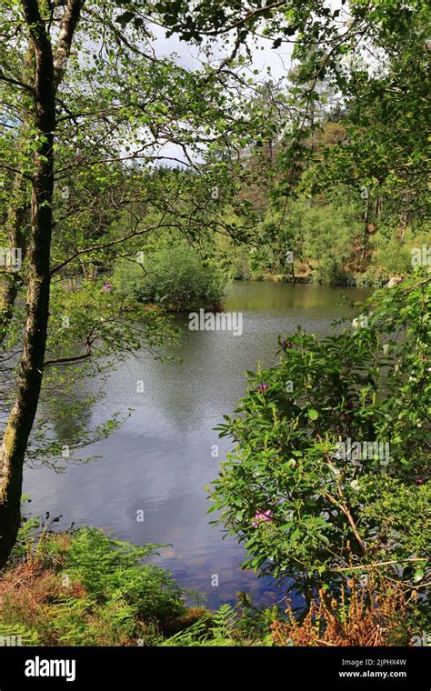 Glencoe Lochan located just north of Glencoe village in the Scottish ...