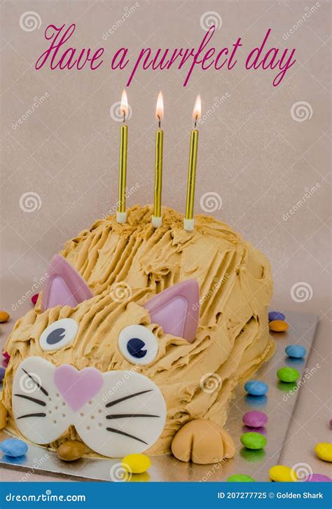 Funny Cat Birthday Cake with Sweet Stock Image - Image of holiday, funny: 207277725