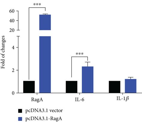 Puerarin Attenuated The Expression Of Inflammatory Cytokines Against