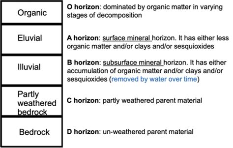 Wk 5 Soil Classification Flashcards Quizlet