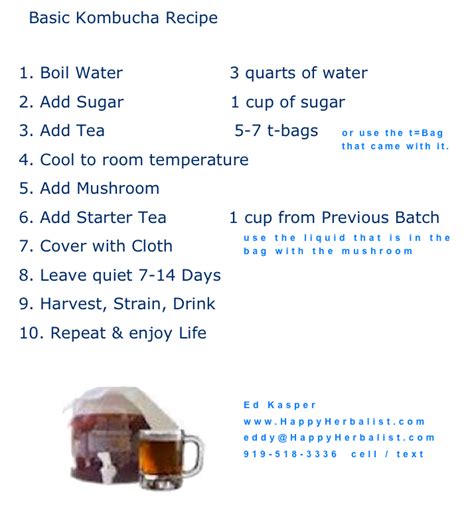 Kombucha Brewing Guide – Explore How to Fermentation Online